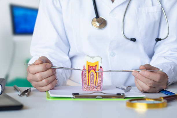 Best Emergency Tooth Extraction in Millwood, WA